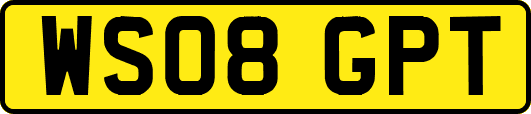 WS08GPT