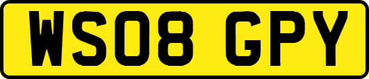 WS08GPY