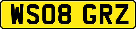 WS08GRZ