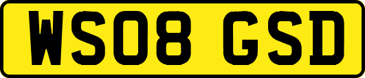 WS08GSD