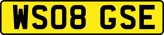 WS08GSE