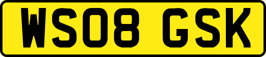 WS08GSK