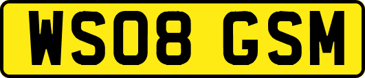 WS08GSM