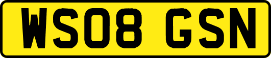 WS08GSN