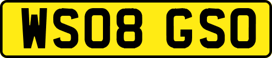 WS08GSO