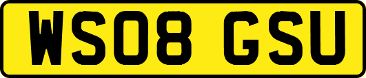 WS08GSU