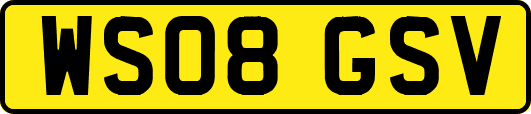 WS08GSV