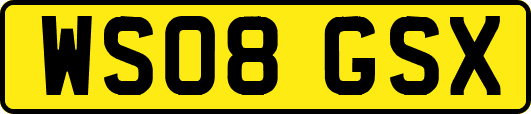 WS08GSX