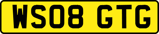 WS08GTG