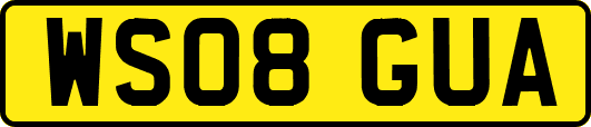 WS08GUA