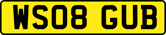 WS08GUB