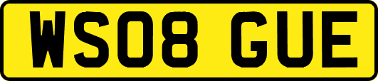 WS08GUE