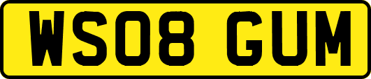 WS08GUM