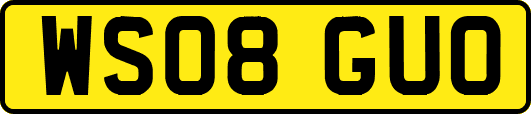 WS08GUO
