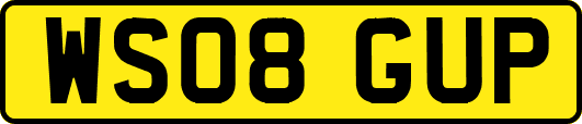 WS08GUP