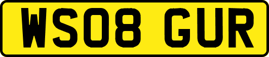 WS08GUR