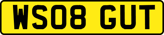 WS08GUT