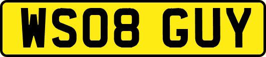 WS08GUY