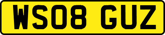 WS08GUZ
