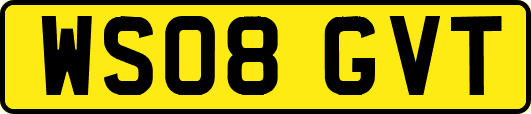 WS08GVT