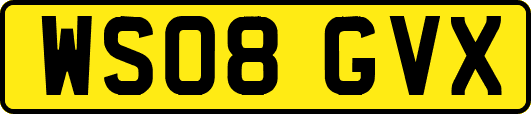 WS08GVX