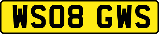 WS08GWS