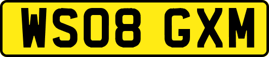 WS08GXM