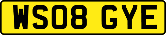 WS08GYE