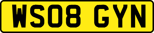 WS08GYN