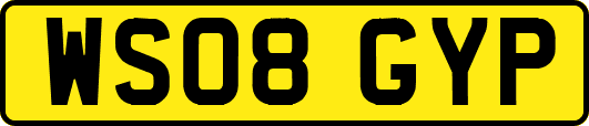 WS08GYP