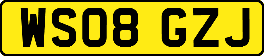 WS08GZJ