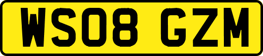 WS08GZM