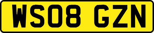 WS08GZN