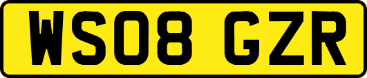 WS08GZR