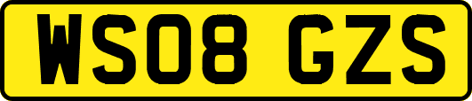 WS08GZS