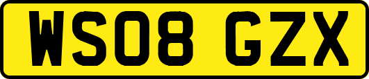 WS08GZX