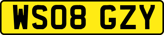 WS08GZY