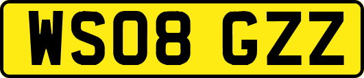 WS08GZZ