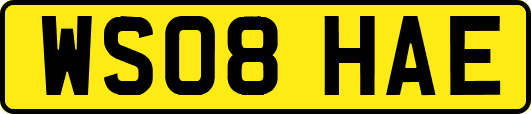 WS08HAE