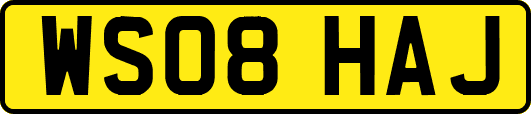 WS08HAJ