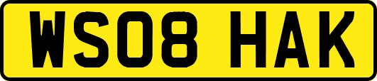 WS08HAK
