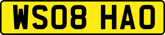 WS08HAO