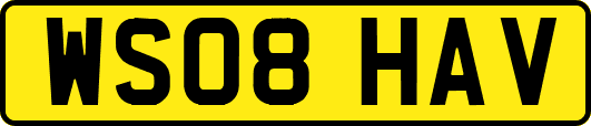 WS08HAV