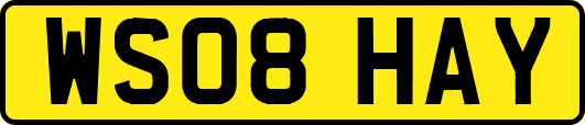 WS08HAY