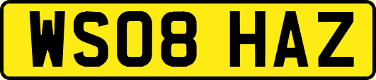 WS08HAZ