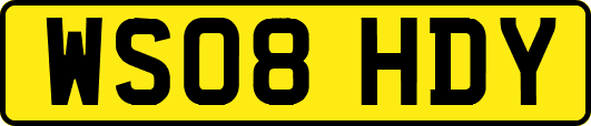 WS08HDY