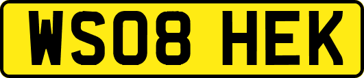 WS08HEK