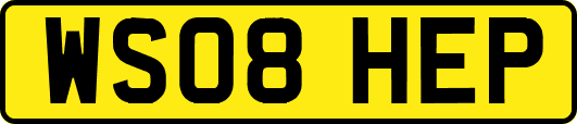 WS08HEP