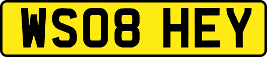 WS08HEY