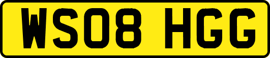 WS08HGG